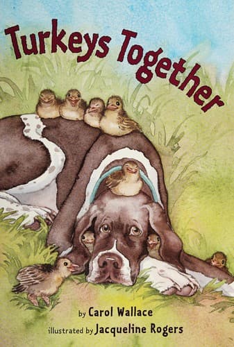 Cover of Missing Egg Mystery, The
