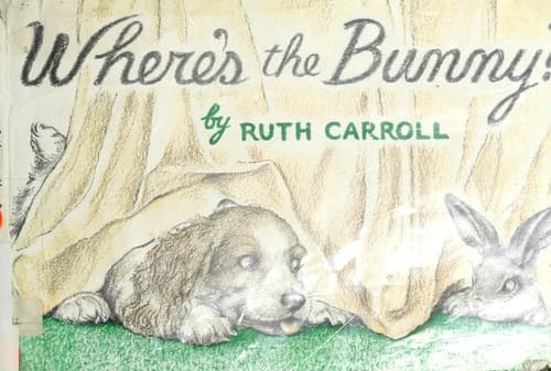 Cover of Where's the bunny?
