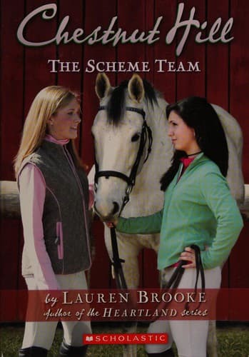Cover of The scheme team