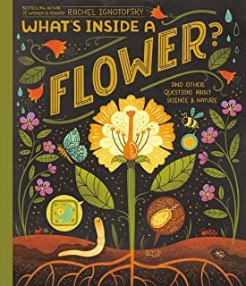 Cover of What's Inside a Flower?