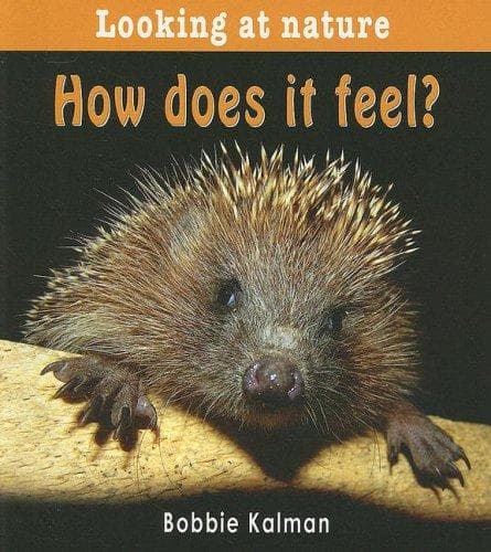 Cover of How Does It Feel? (Looking at Nature)