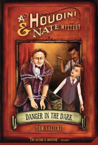 Cover of Danger in the dark