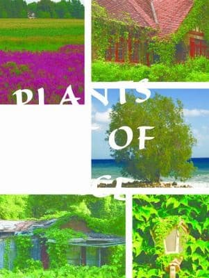 Cover of Plants Out Of Place