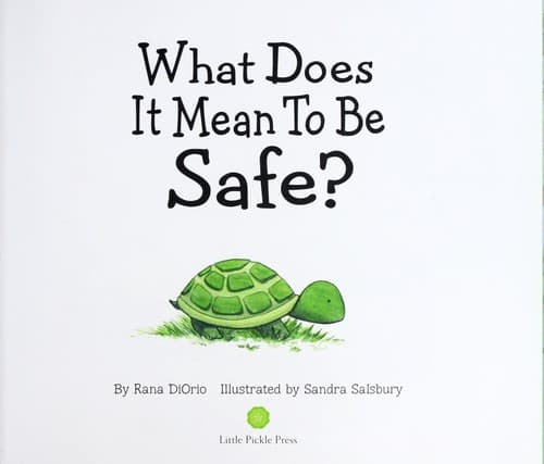 Cover of What does it mean to be safe?