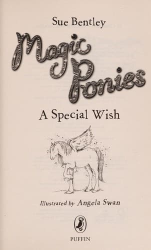 Cover of A special wish