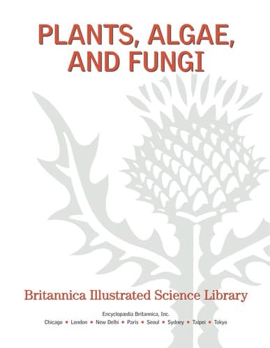 Cover of Plants, algae, and fungi