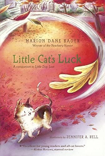 Cover of Little cat's luck